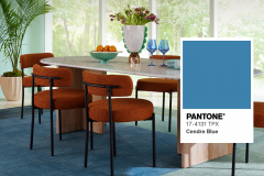 Ruggable – Transforming Rug Shopping Through Engaging Creative Content